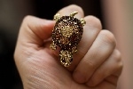 Charming Ring Elasticity Ring Finger Ring Jewelry Collection with Turtle &amp; Rhinestones Design for Women Lady Girls WNL-71244